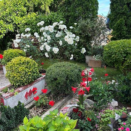 Green Oasis Διαμέρισμα Κότορ Εξωτερικό φωτογραφία