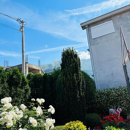 Green Oasis Διαμέρισμα Κότορ Εξωτερικό φωτογραφία