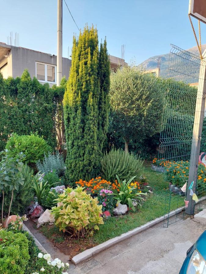 Green Oasis Διαμέρισμα Κότορ Εξωτερικό φωτογραφία