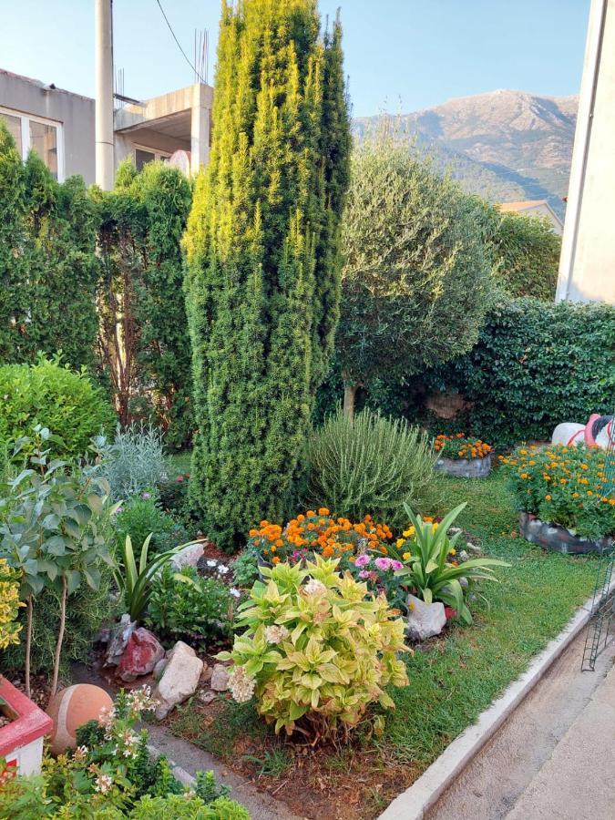Green Oasis Διαμέρισμα Κότορ Εξωτερικό φωτογραφία