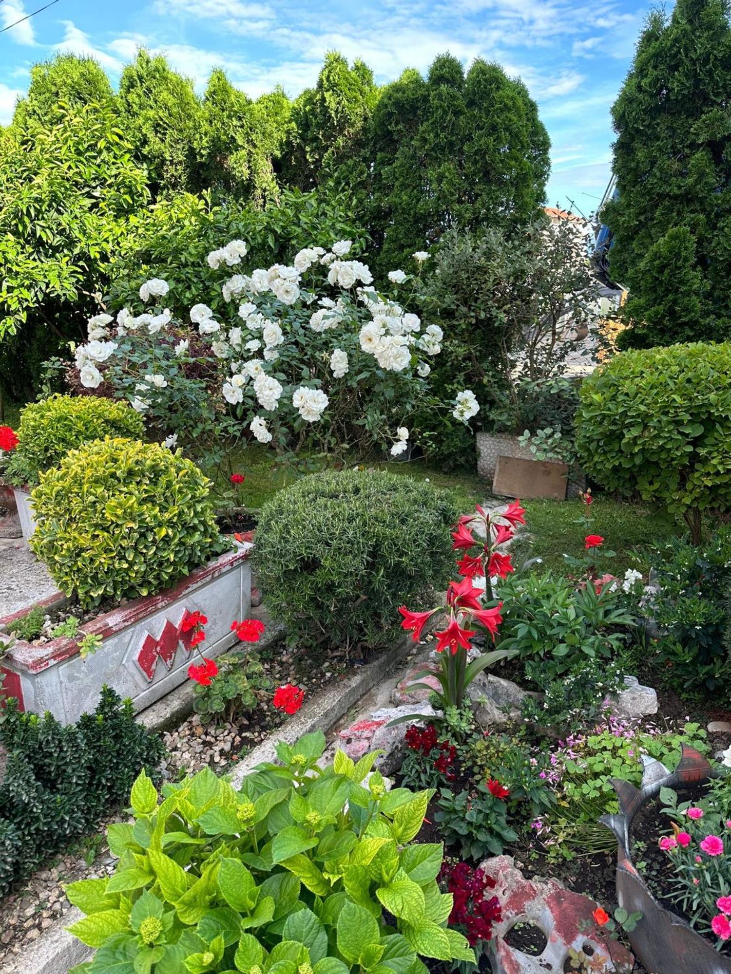 Green Oasis Διαμέρισμα Κότορ Εξωτερικό φωτογραφία