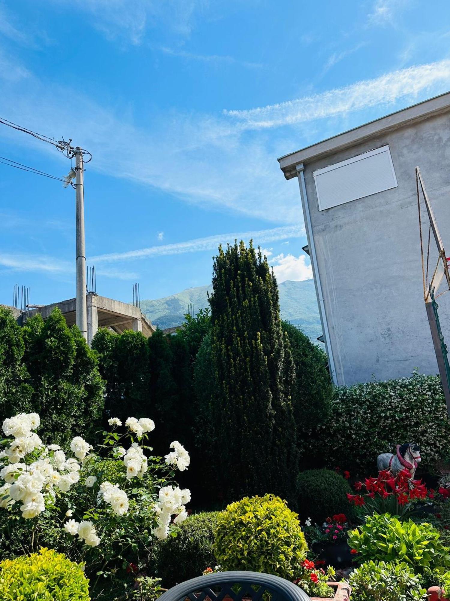 Green Oasis Διαμέρισμα Κότορ Εξωτερικό φωτογραφία