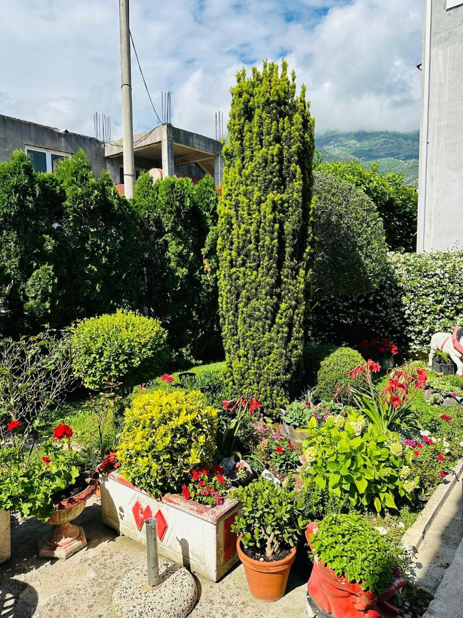 Green Oasis Διαμέρισμα Κότορ Εξωτερικό φωτογραφία